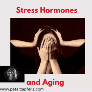 Stress Hormone's and Biological Aging